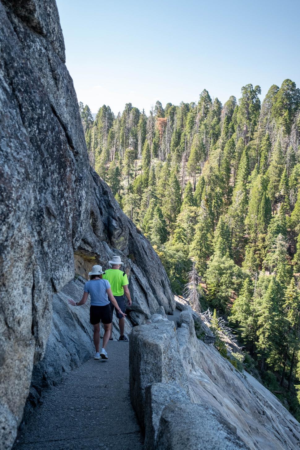 Free Image of Hikers navigate rocky trail in forested mountain area 