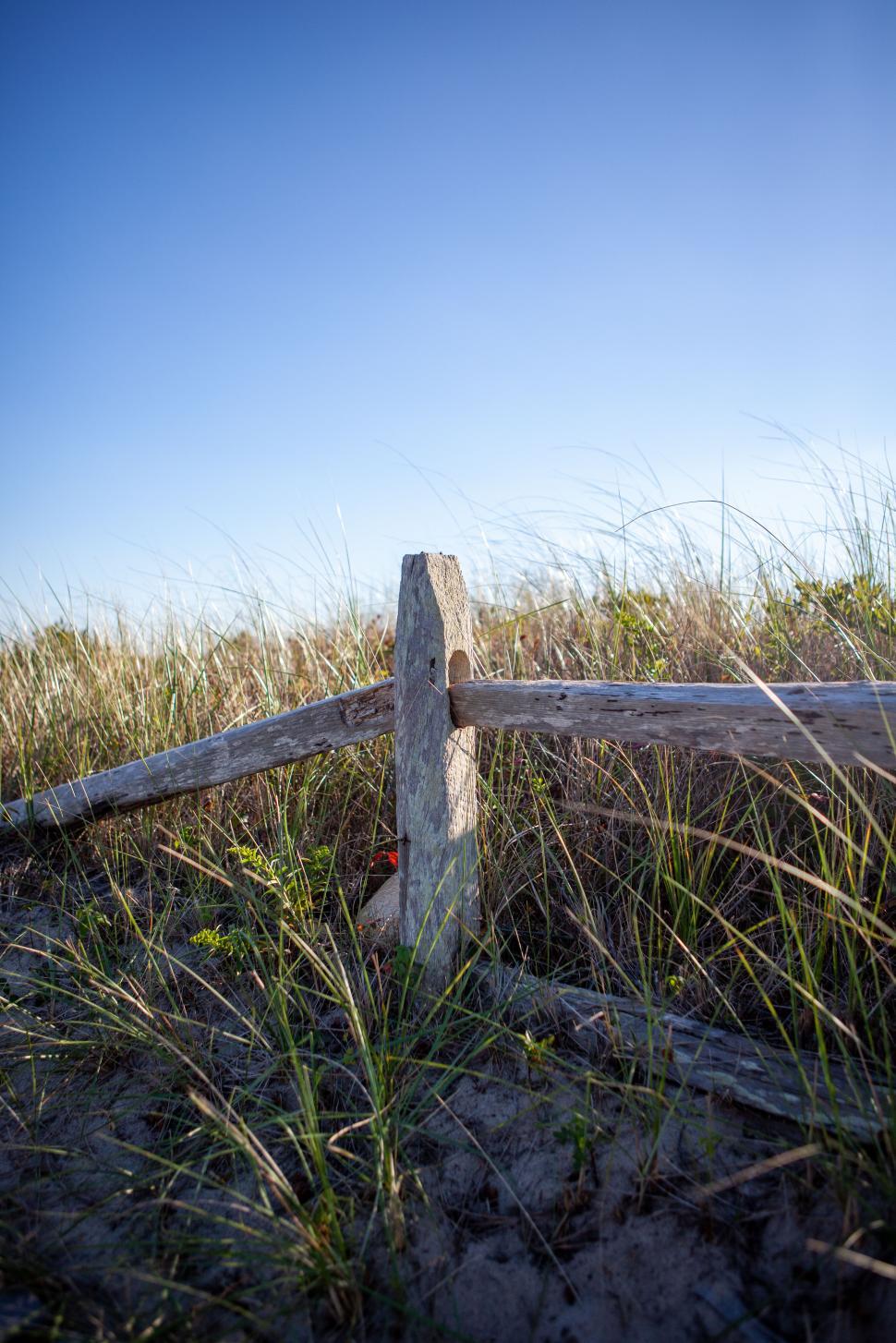 Free Image of Wooden fence post stands among tall grass under blue sky 