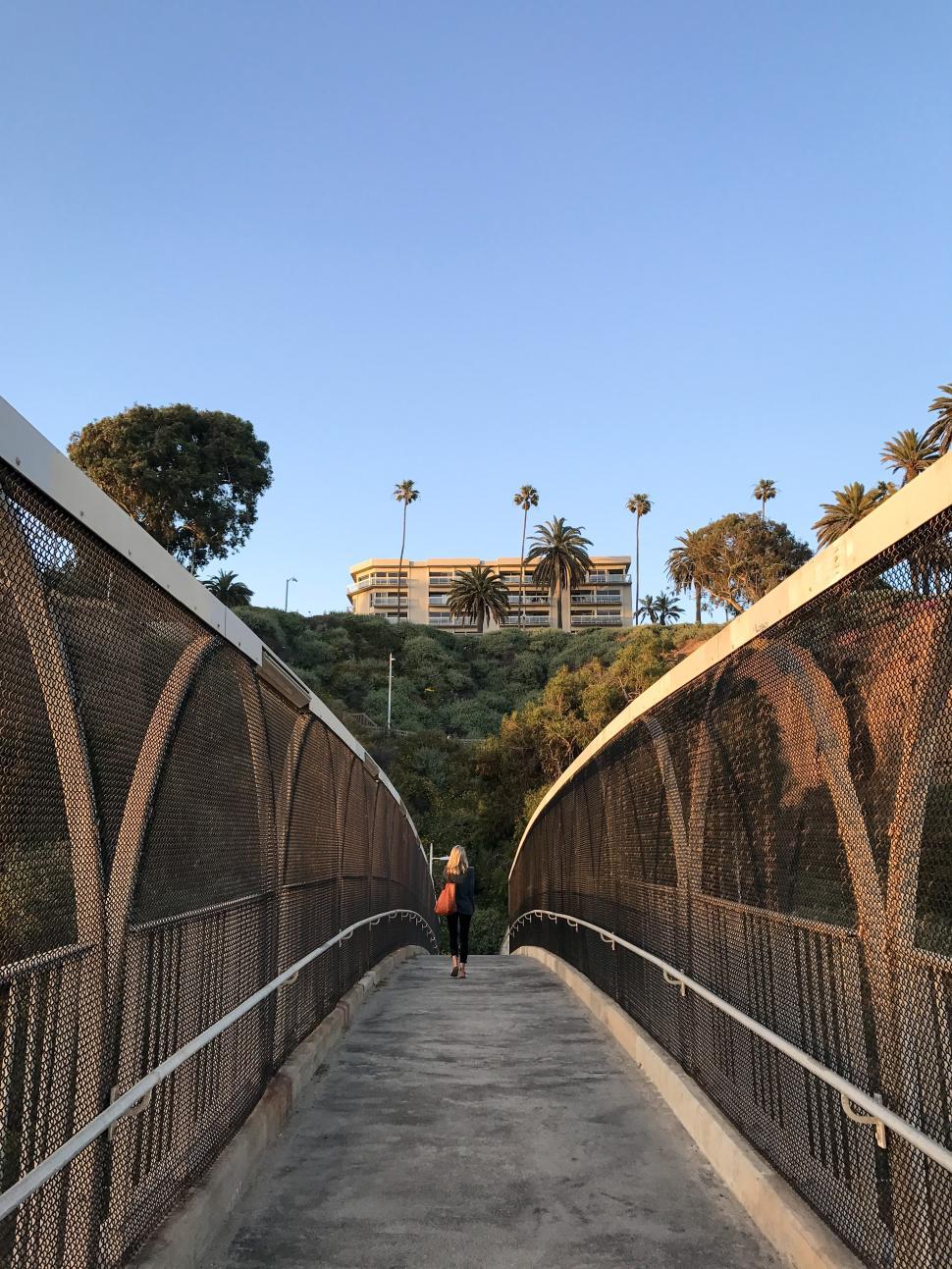 Free Image of Walking on a pedestrian bridge with palm trees in the background 