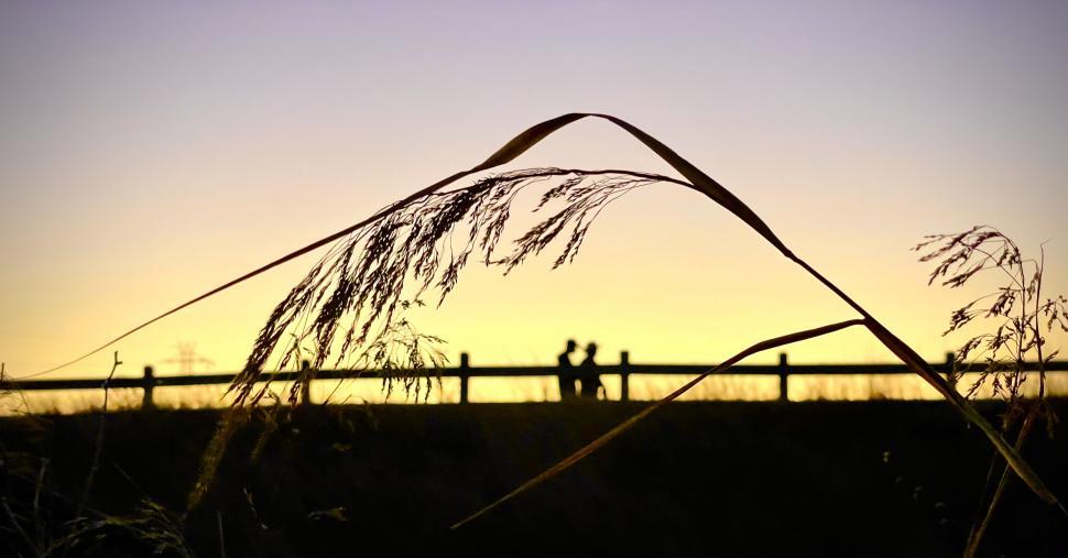 Free Image of Couple enjoying a peaceful stroll during sunset by a quiet path 