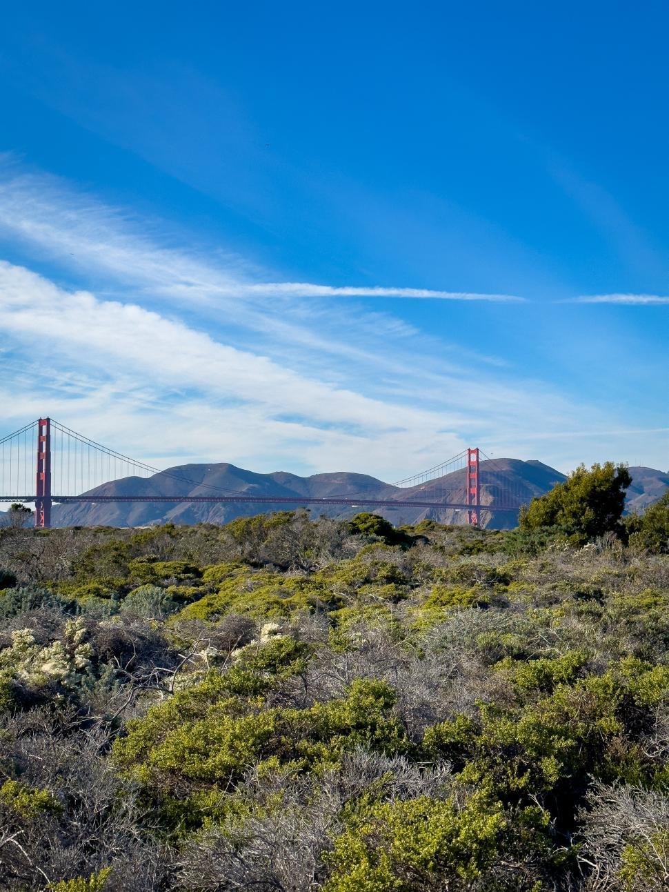 Free Image of Golden Gate Bridge stands tall against a clear blue sky 
