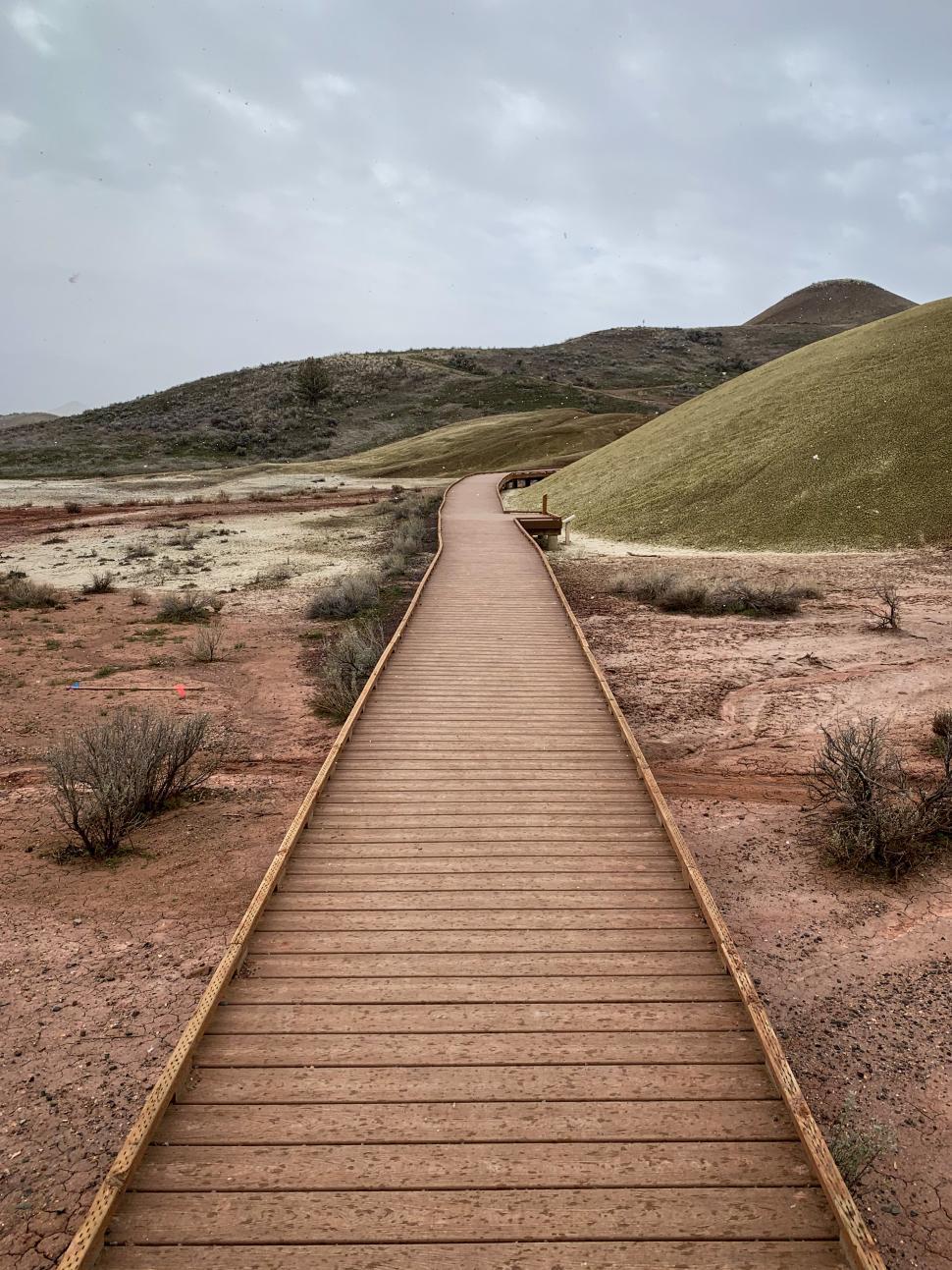 Free Image of Scenic wooden pathway leading through colorful hills at dawn 