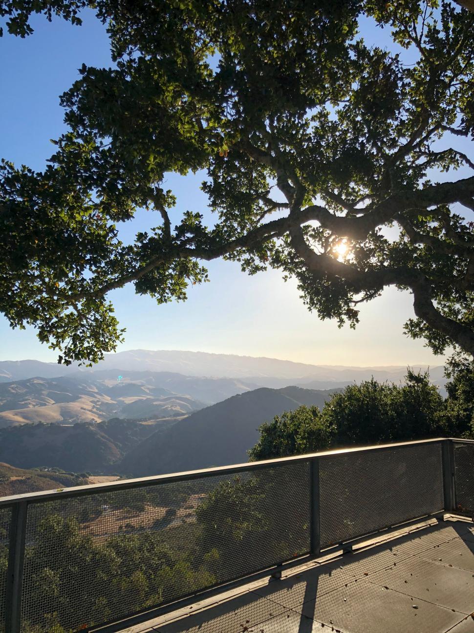 Free Image of Scenic view of mountains through a large oak tree at sunset 