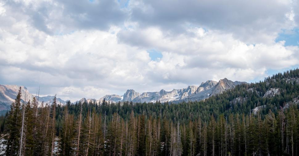 Free Image of Beautiful mountain landscape with clouds and pine trees in spring 