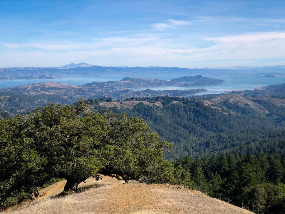 Free Image of Scenic view from a hillside overlooking the bay and distant mountains during daylight 