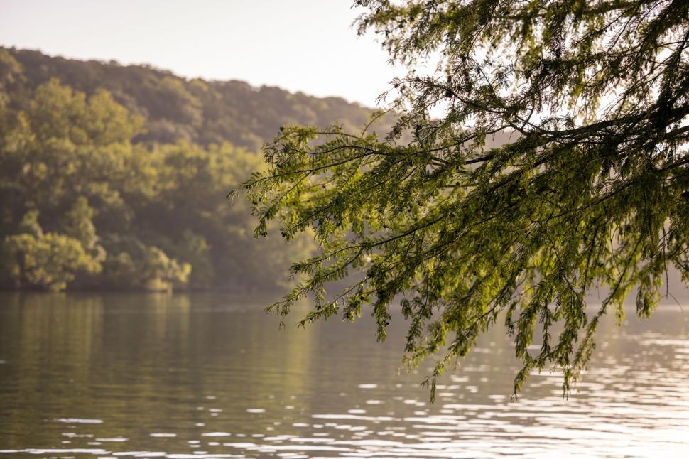Free Image of Morning light reflects on calm lake surrounded by lush greenery 