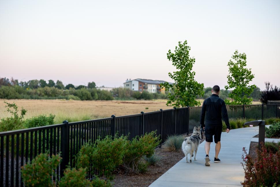 Free Image of Man walks his dog along a scenic path in the evening light 