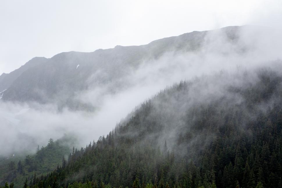 Free Image of Fog blankets mountain landscape in a serene wilderness at dawn 