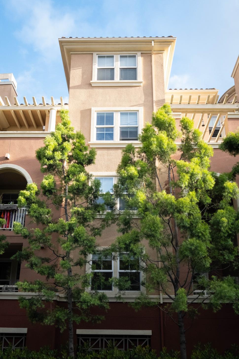 Free Image of Beautiful residential building with lush trees in bright daylight 