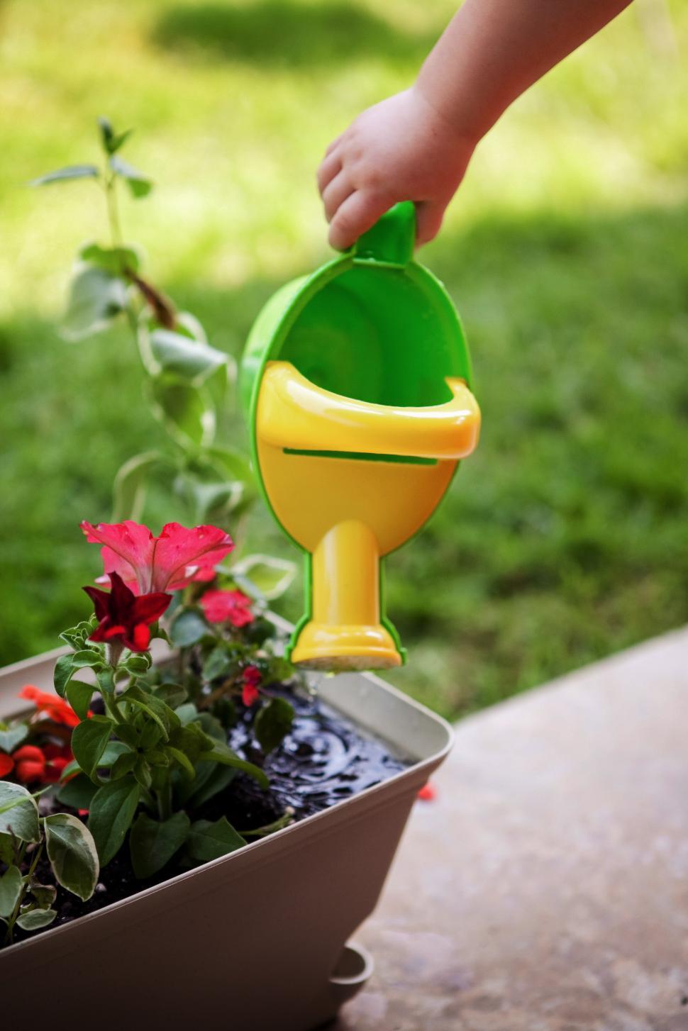 Free Image of Child waters flowers with a colorful watering can in a garden 
