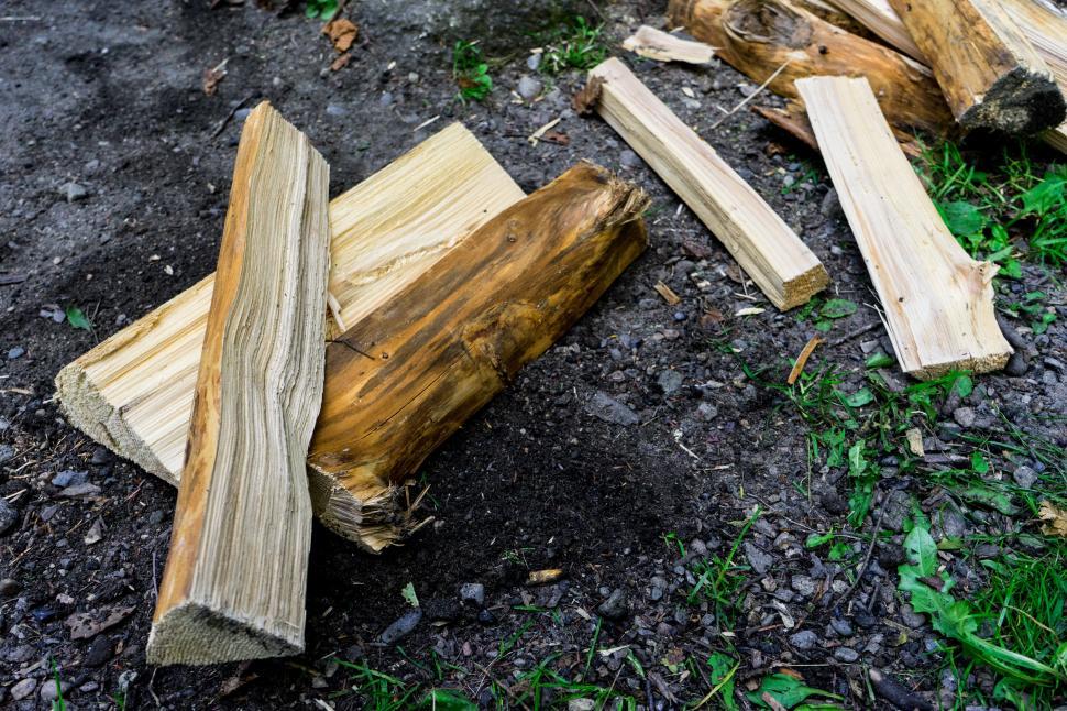 Free Image of Cut logs arranged on the ground near grass in a forest clearing 