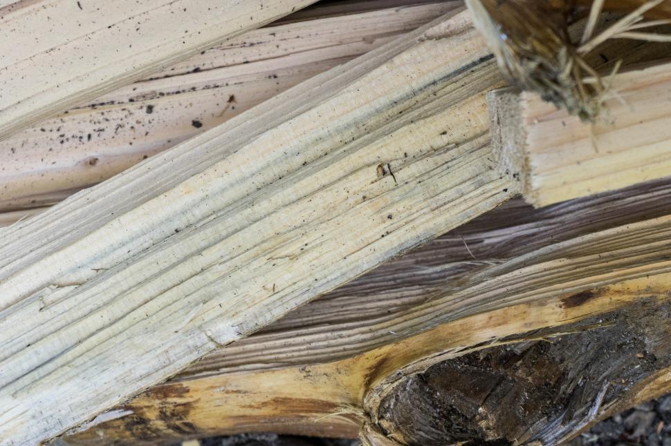 Free Image of Close-up view of stacked firewood in a rustic setting during daylight hours 