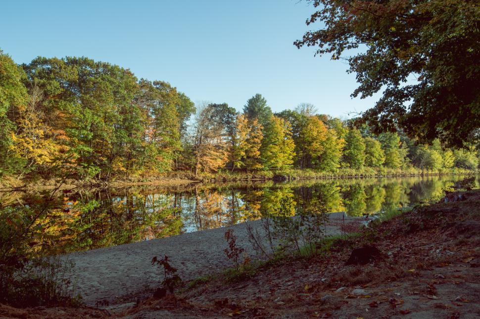 Free Image of Autumn reflections by the river in a tranquil forest setting 
