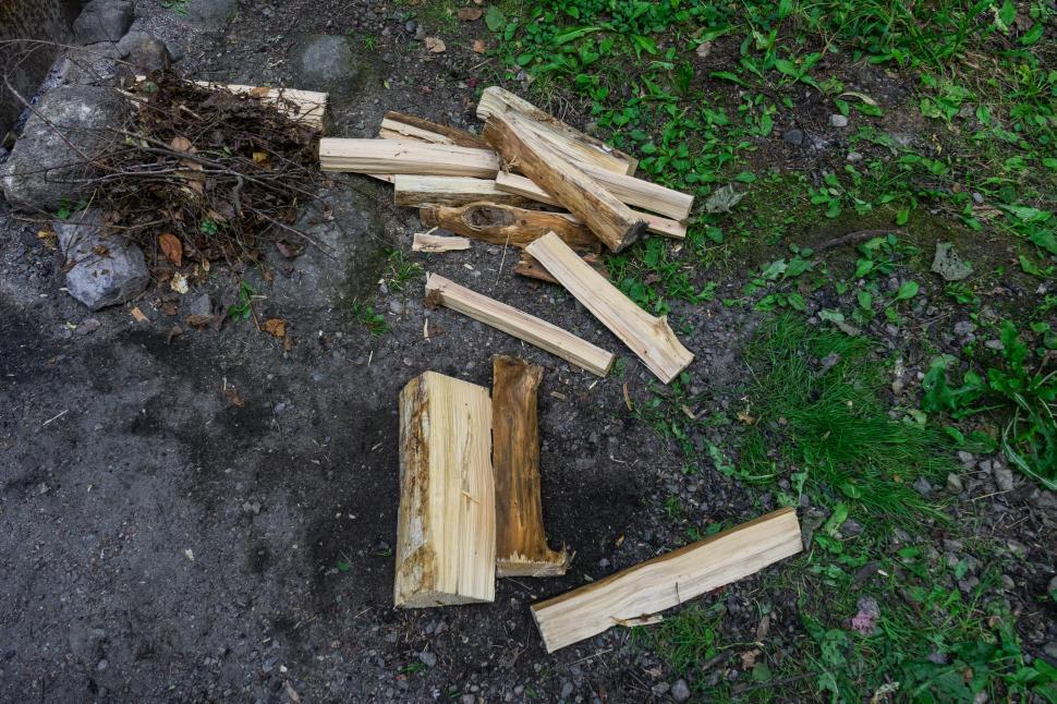 Free Image of Wood pieces scattered on ground in a natural setting with greenery nearby 