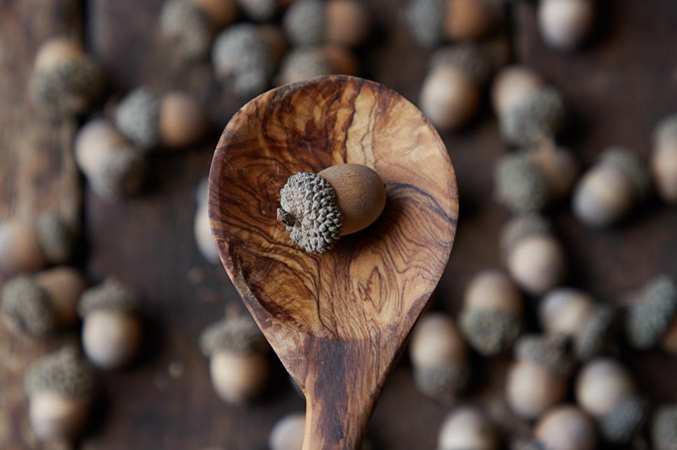 Free Image of Wooden spoon holds acorn surrounded by scattered nuts 