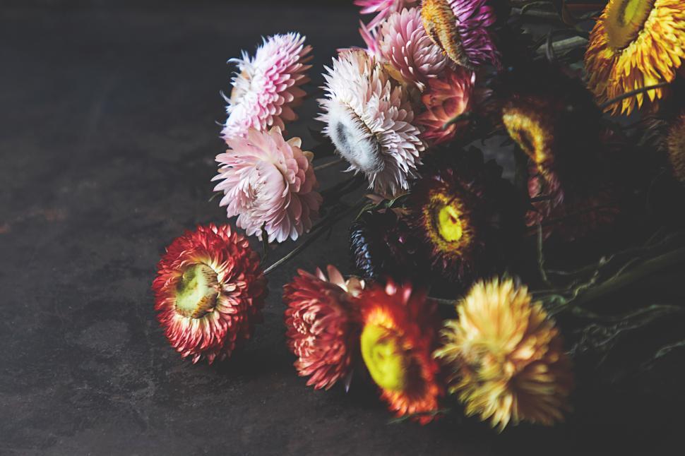 Free Image of Colorful flowers arranged on a dark surface in natural light 