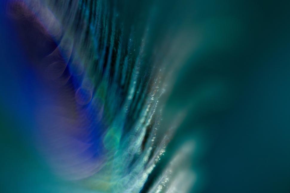 Free Image of Colorful abstract peacock feather macro 