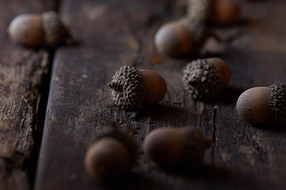 Free Image of Acorns scattered on rustic wooden table surface 