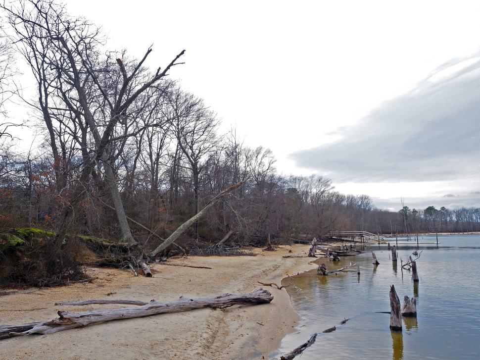 Free Image of Drought at Manasquan Reservoir 