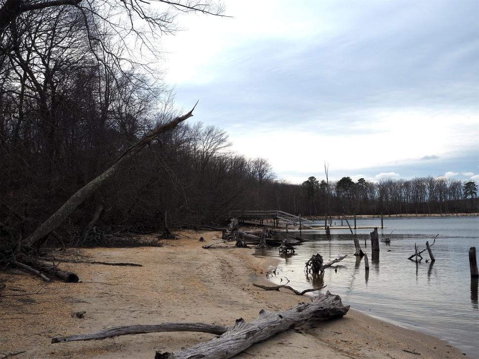 Free Image of Dry Manasquan Reservoir   