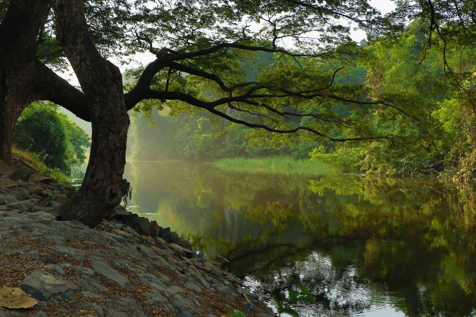 Free Image of Tranquil river with lush greenery and reflections 