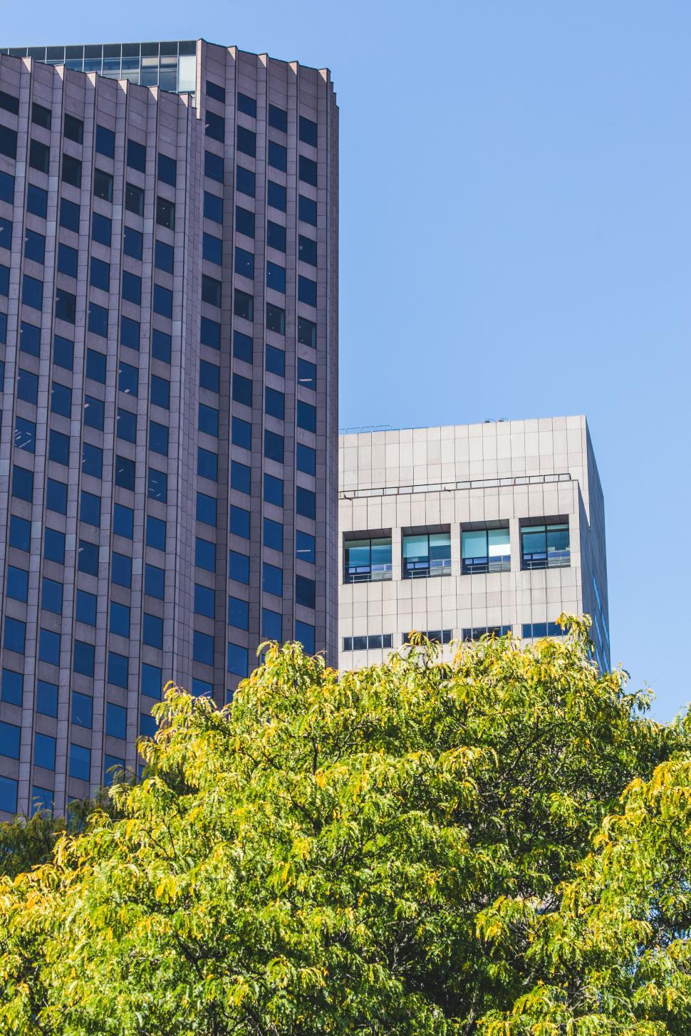 Free Image of Modern buildings surrounded by greenery in urban setting 