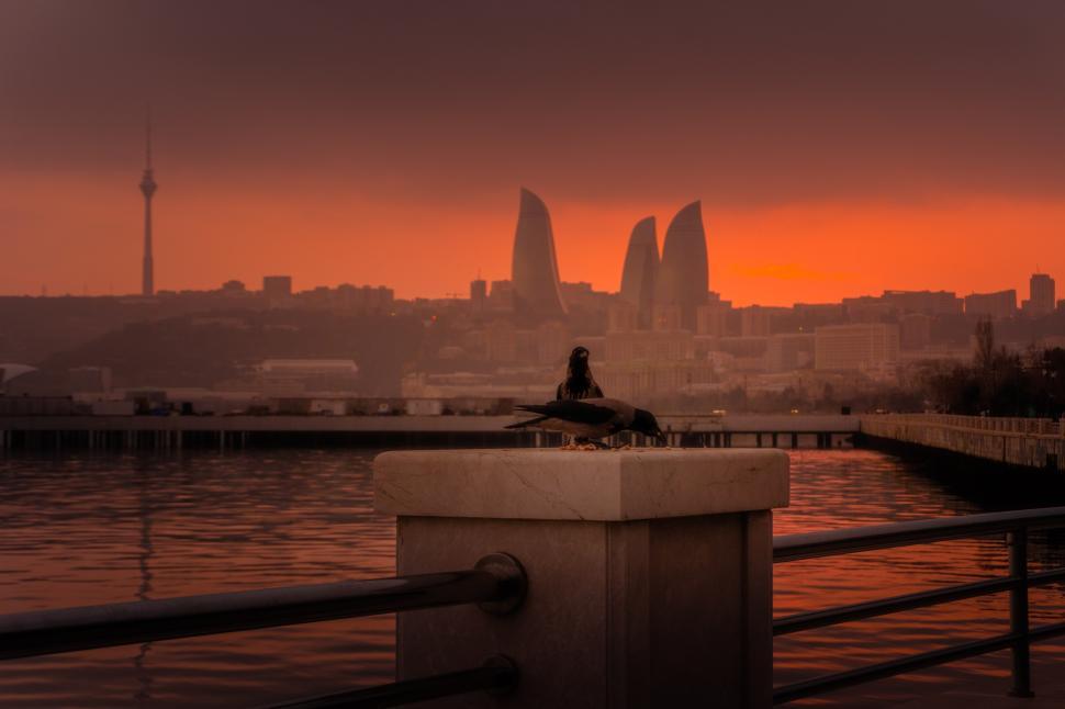 Free Image of Urban cityscape of Baku, Azerbaijan, under a stunning evening sunset, featuring the modern skyline bathed in warm golden light and a vibrant metropolitan atmosphere.  
