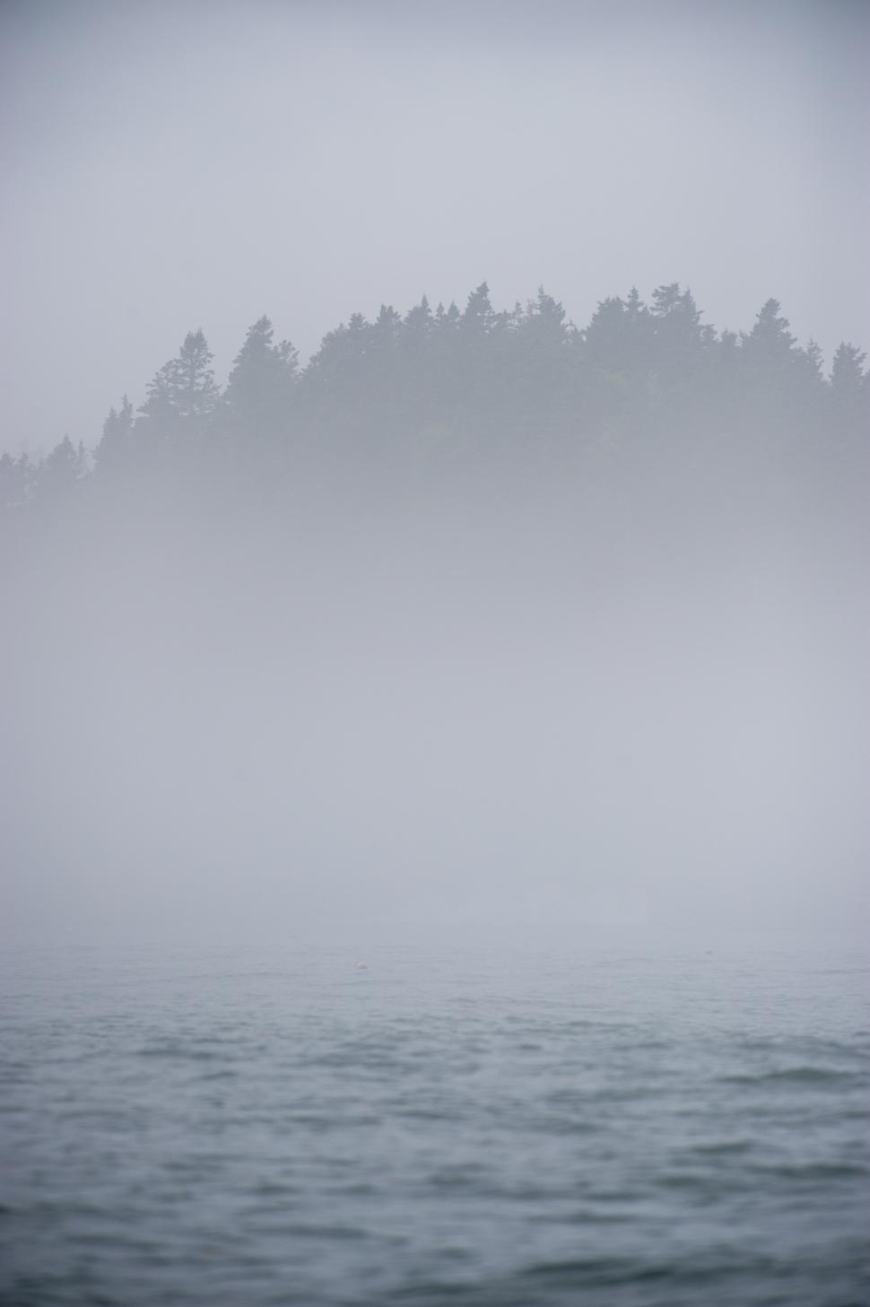 Free Image of Misty lake landscape with shoreline trees shrouded in fog 