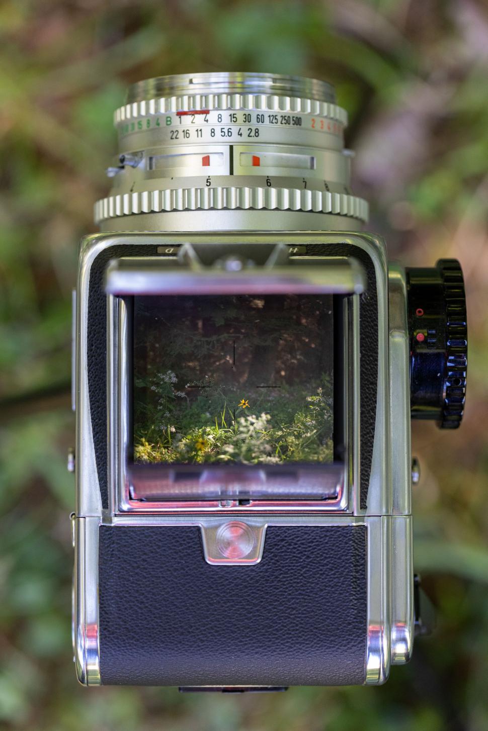Free Image of Vintage camera showing nature through the viewfinder in the park 