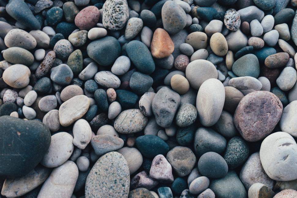 Free Image of Colorful pebbles scattered on a sunlit riverbank 