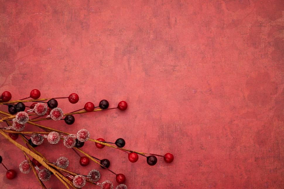 Free Image of Colorful winter berries arranged on a textured background 