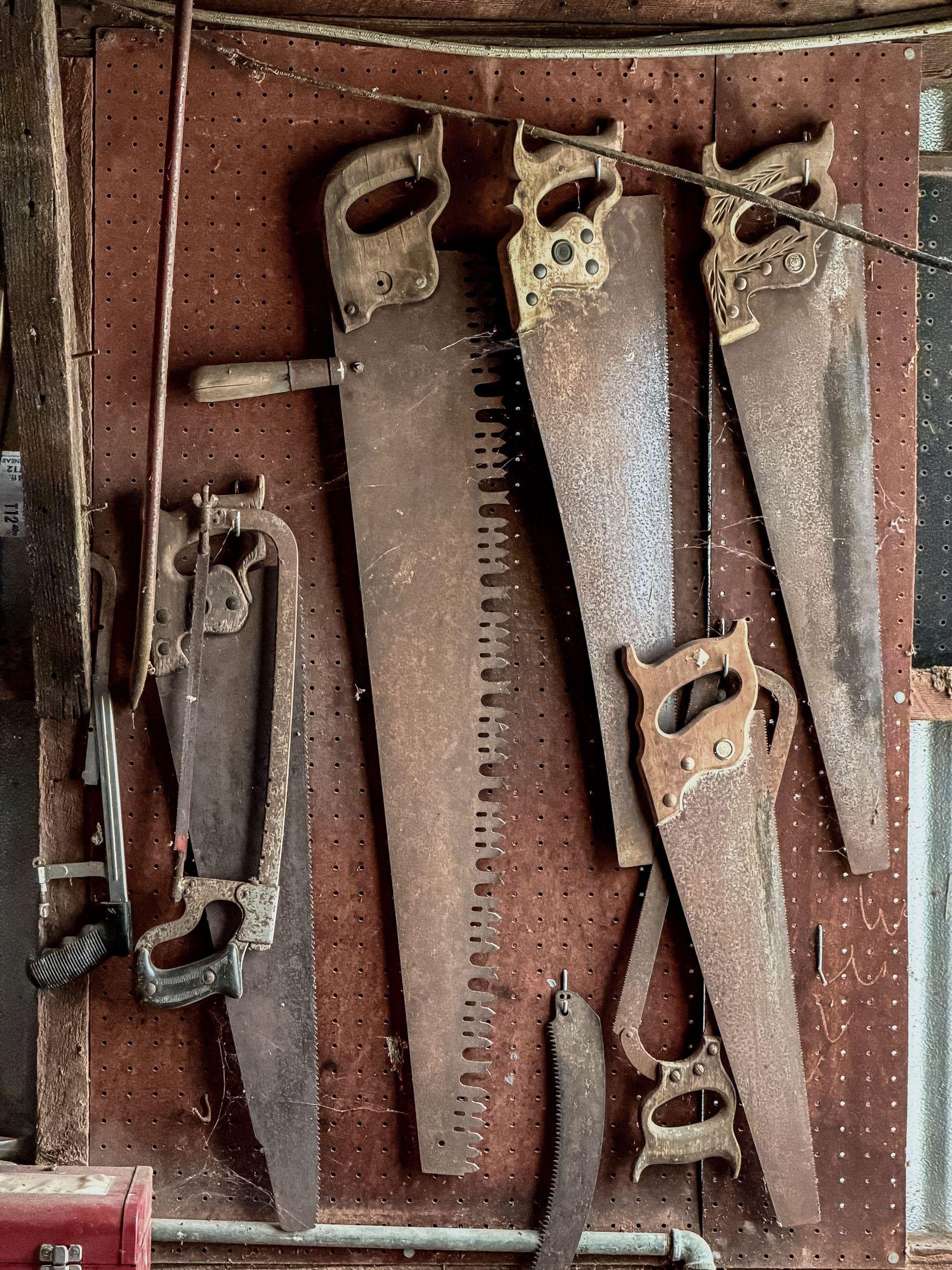 Free Image of Old hand saws and tools hanging on a wooden wall in a workshop 