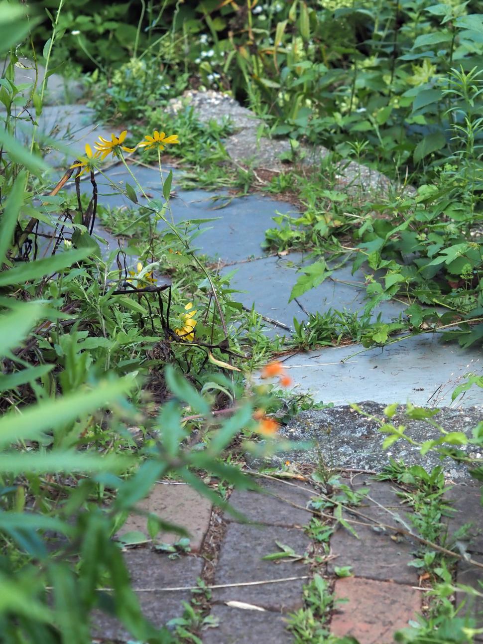 Free Image of Brick to Flagstone Pathway 