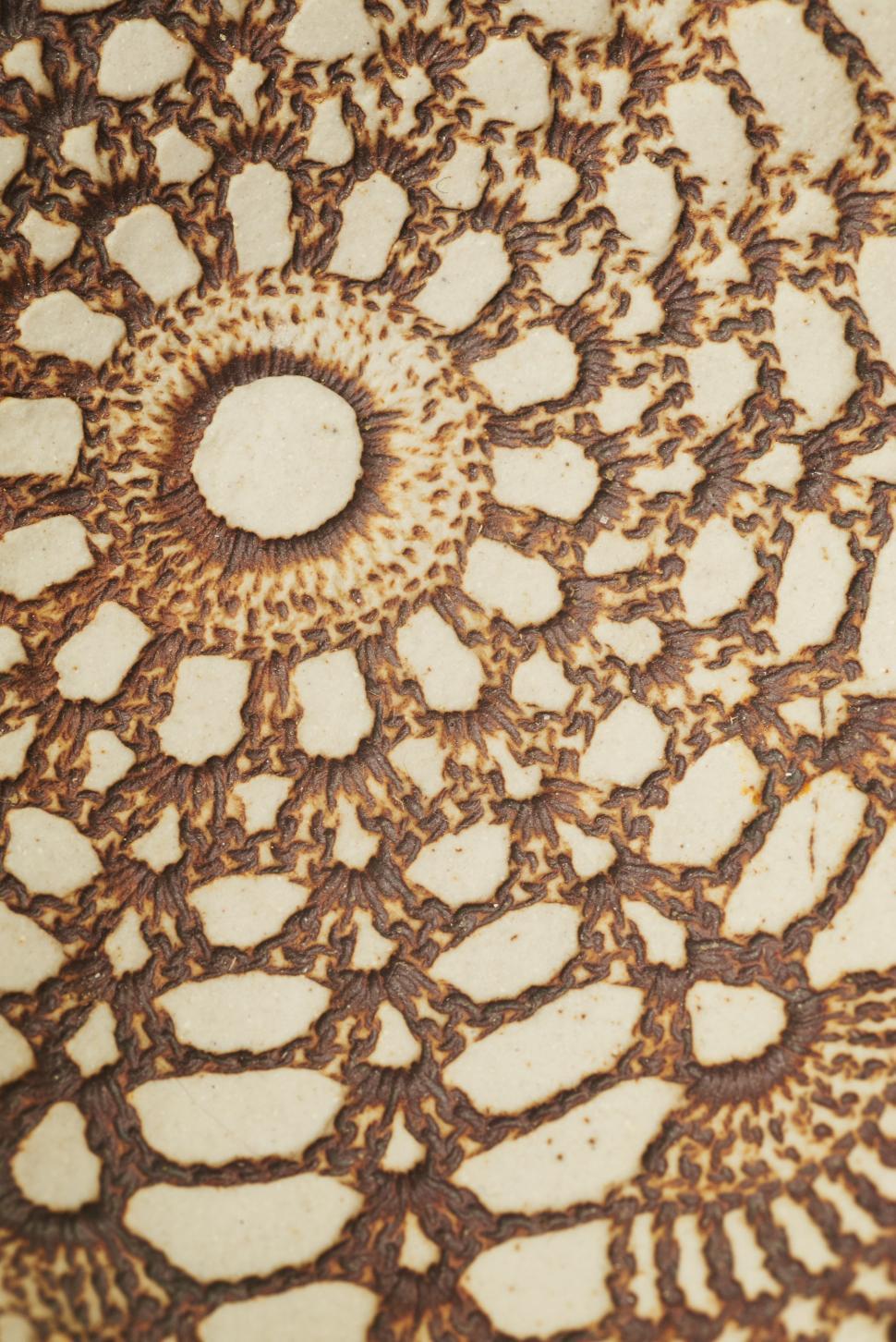 Free Image of Intricate circular design made from golden brown edible art on thin bread 