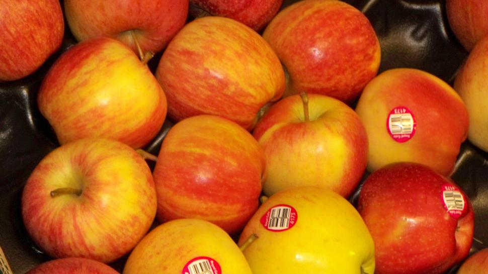 Free Image of Apples 