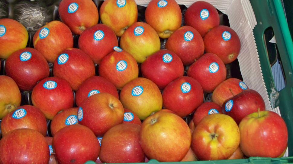 Free Image of Apples 