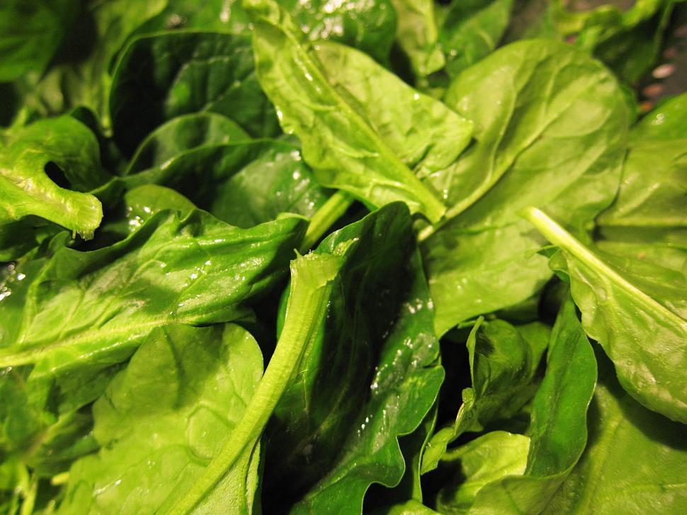 Free Image of Leafy spinach 