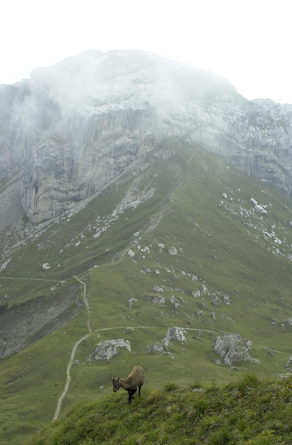 Free Image of Lake Lucern Alps 