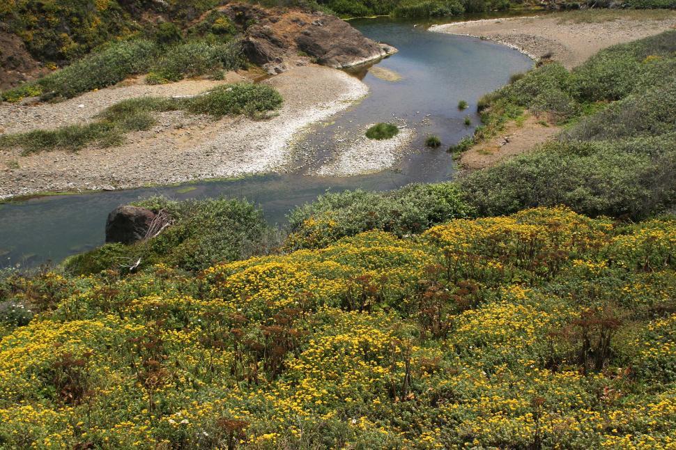 Free Image of Northern California river 