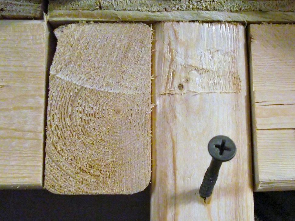 Free Stock Photo of Drywall screw in 2x4 pine board Download Free