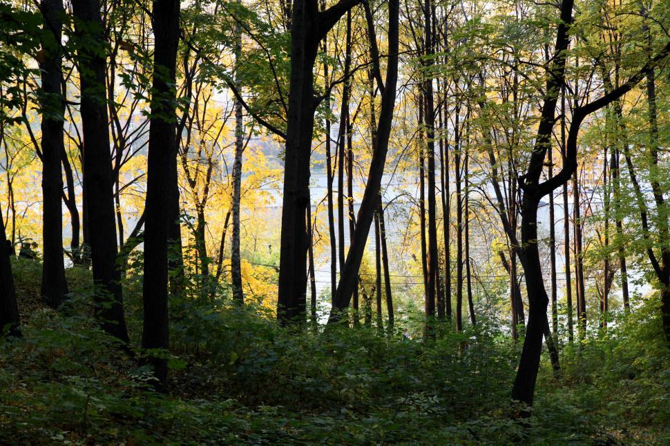 Free Image of Autumn in Moscow 