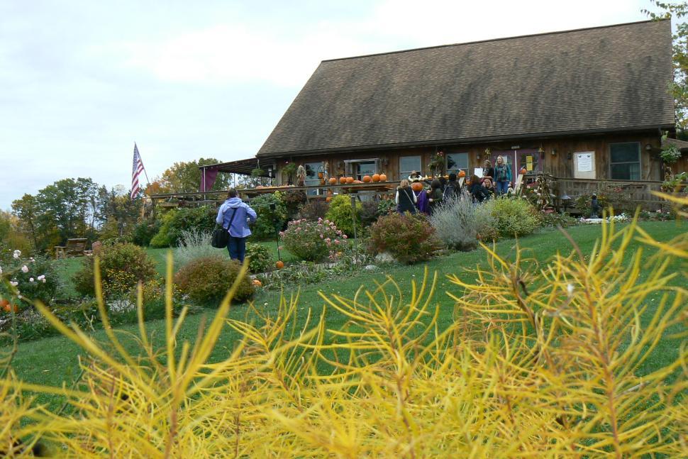 Free Stock Photo of Wine Tasting in the Finger Lakes Download Free