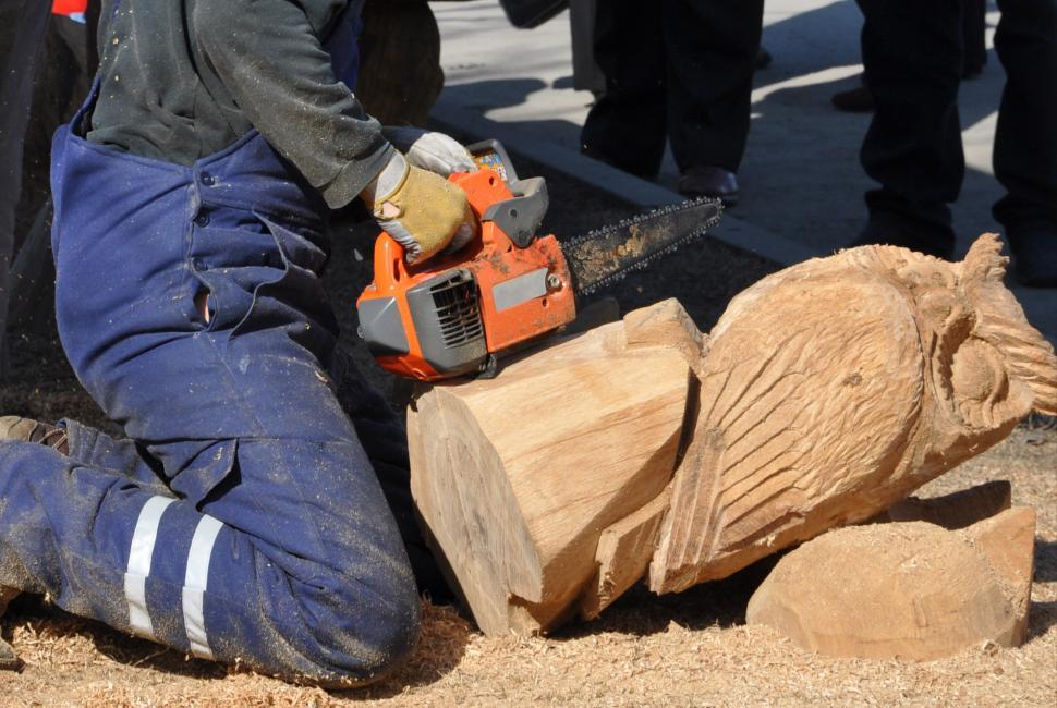 Free Image of Chainsaw and wooden owl 