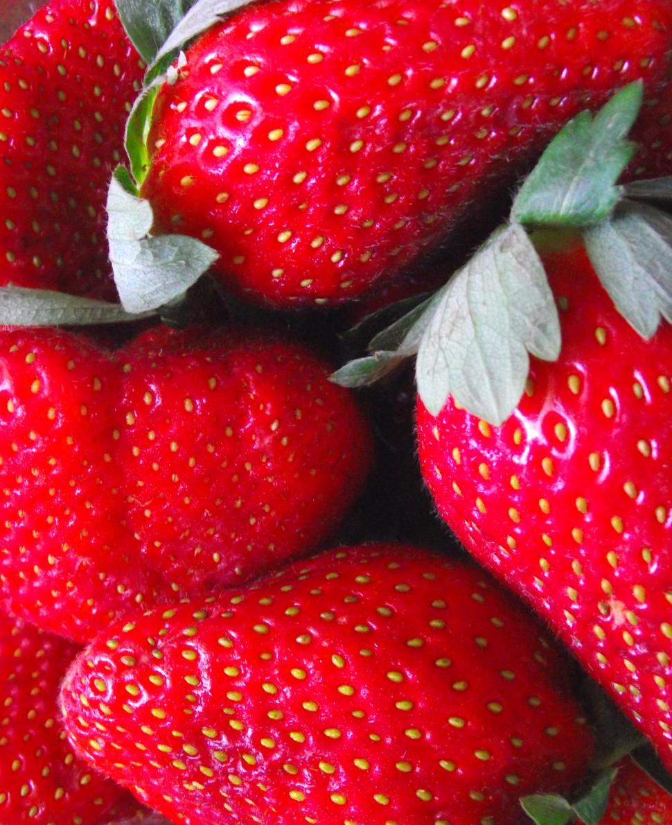 Free Image of Strawberries 