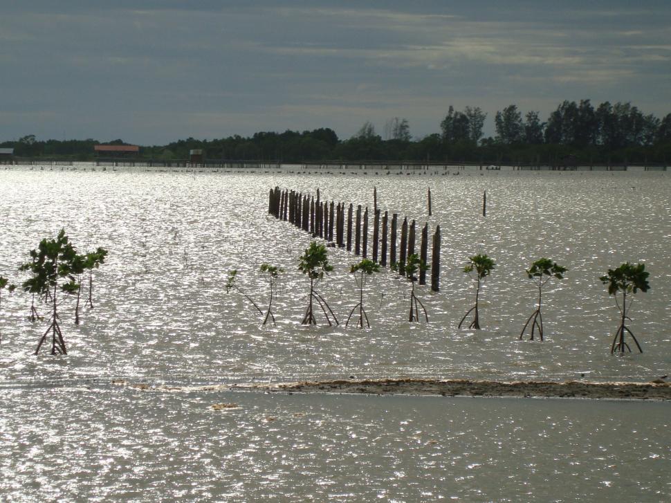Free Image of Reservoir in Chanthaburi (จันทบุรี) 