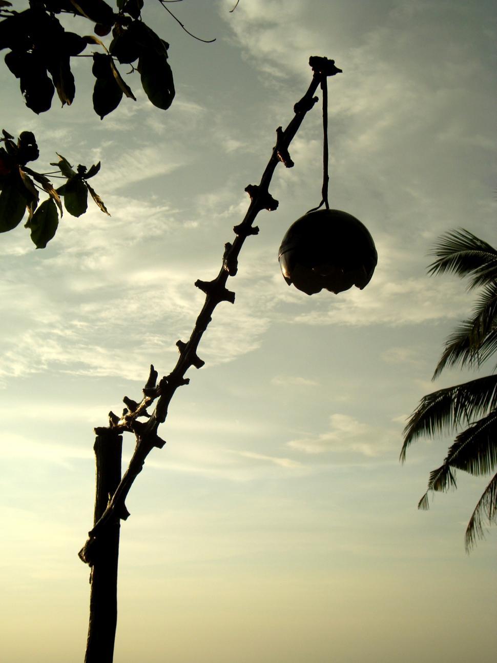 Free Stock Photo of Coconut Shell Lamp Download Free Images and Free