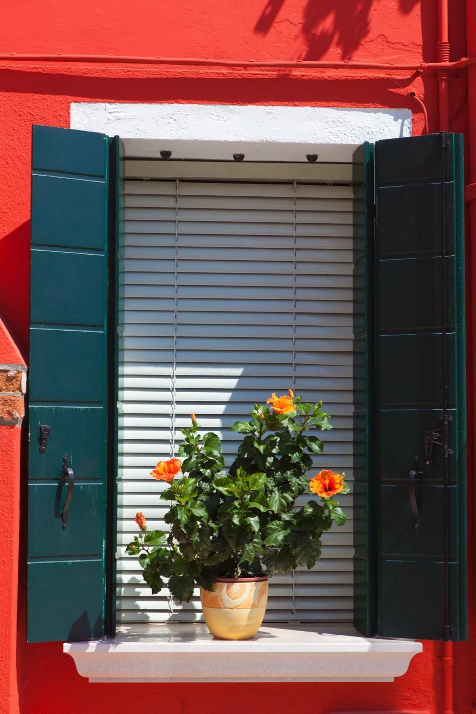 Free Image of Flowers 