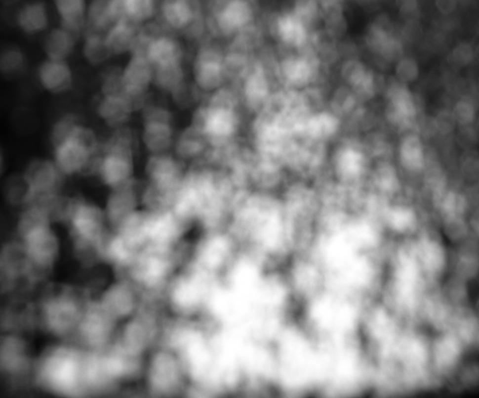 Free Stock Photo of Black and White Bokeh | Download Free Images and Free  Illustrations