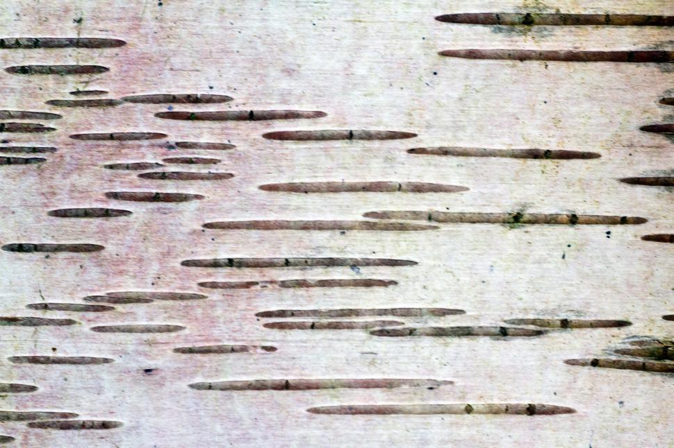 Free Image of Backgrounds 