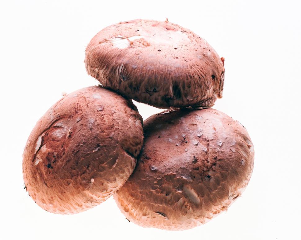Free Image of Mushrooms 